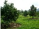 Babinda QLD 4861