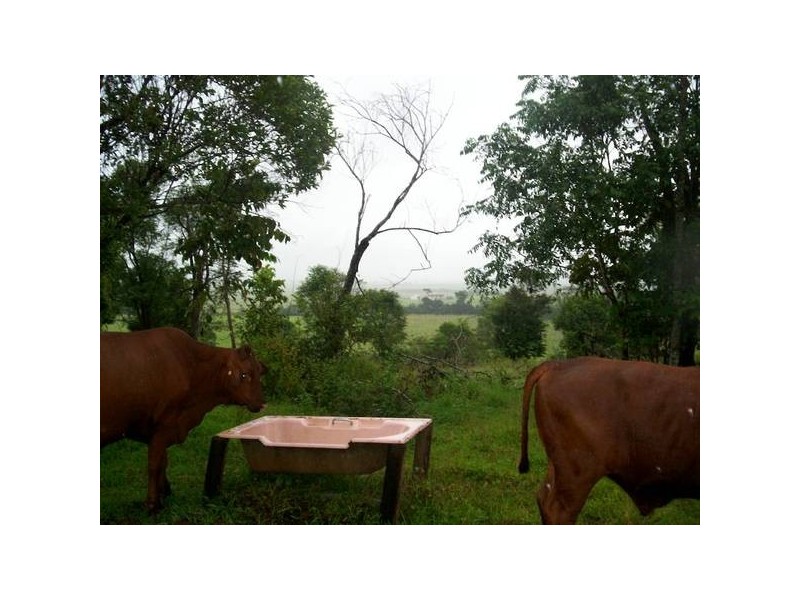 Innisfail QLD 4860