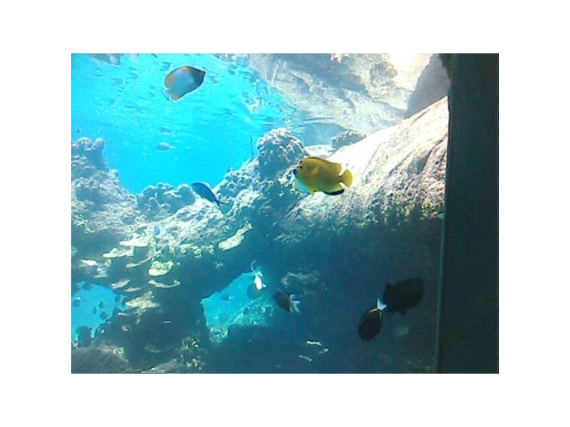 Kurrimine Beach QLD 4871