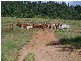 Babinda QLD 4861