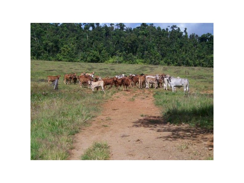 Babinda QLD 4861