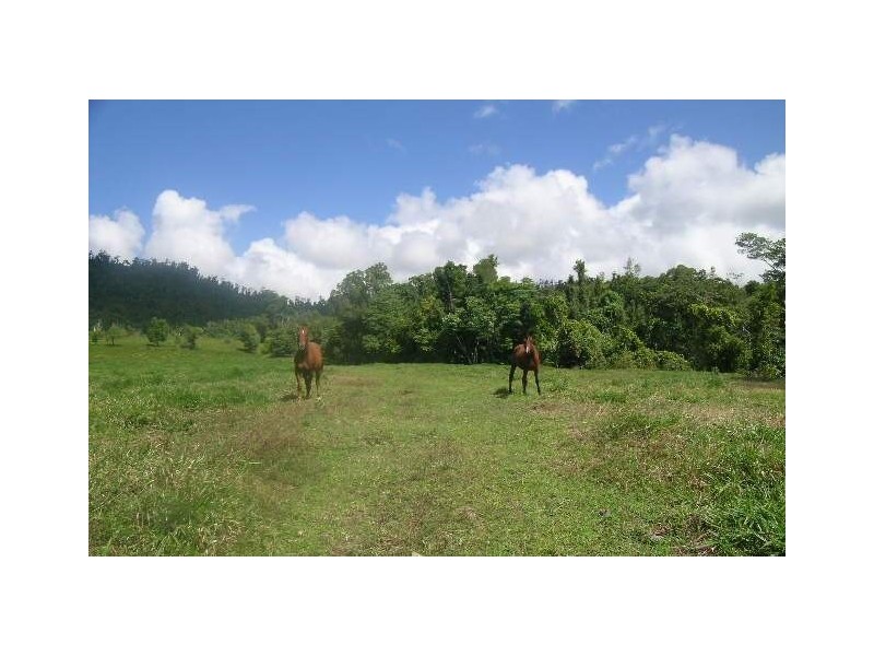 423 Mena Creek Road, Mena Creek QLD 4871