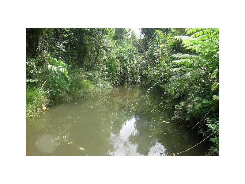 423 Mena Creek Road, Mena Creek QLD 4871