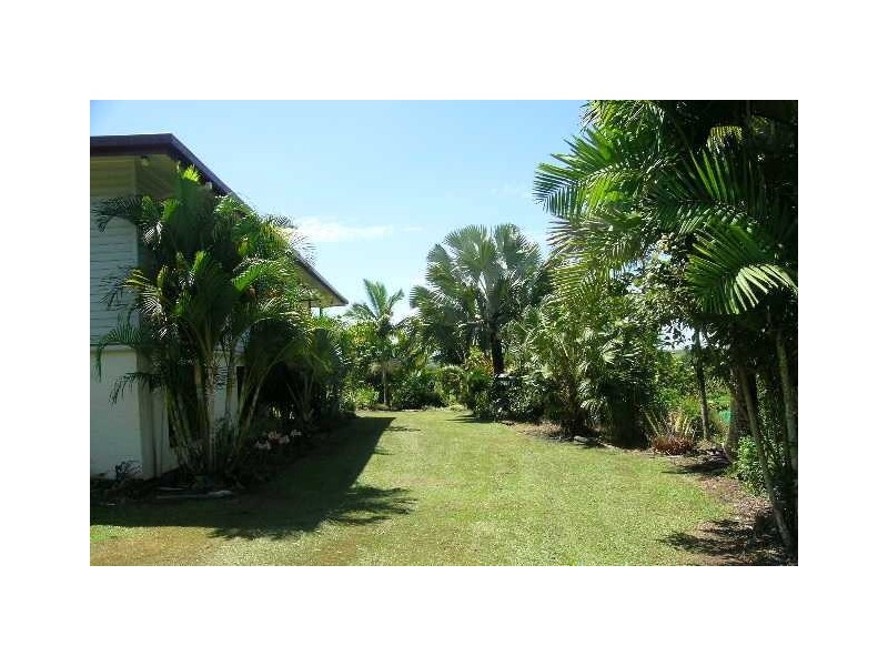 423 Mena Creek Road, Mena Creek QLD 4871