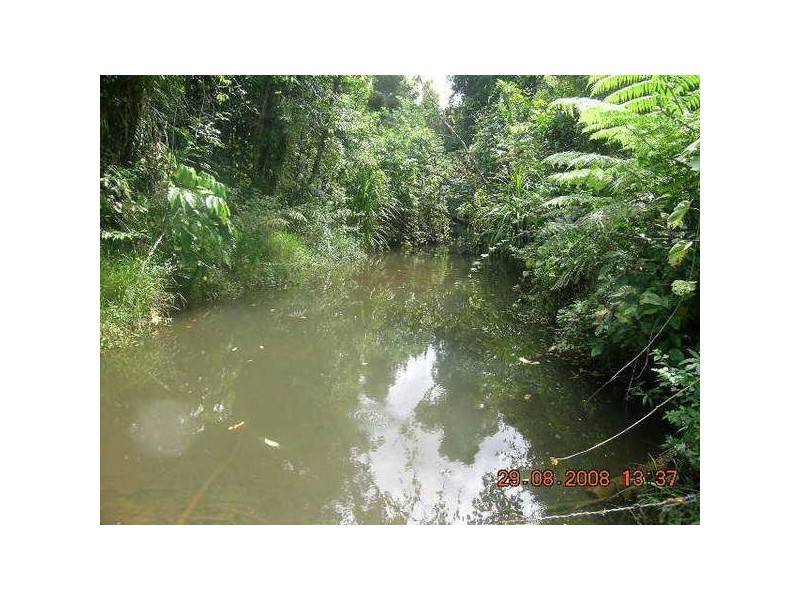 423 Mena Creek Road, Mena Creek QLD 4871