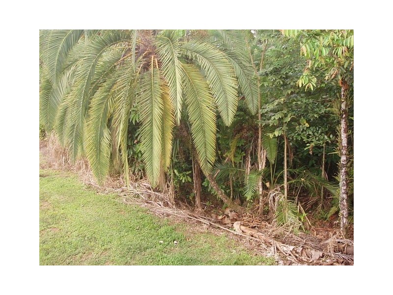 Innisfail QLD 4860