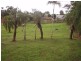 Innisfail QLD 4860