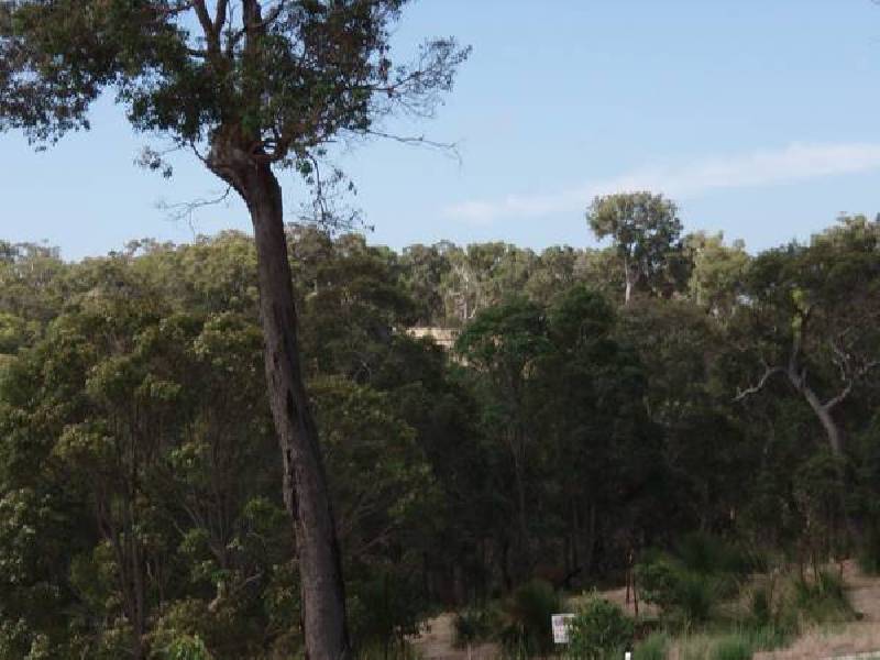 31 Broyage Retreat, Dunsborough WA 6281