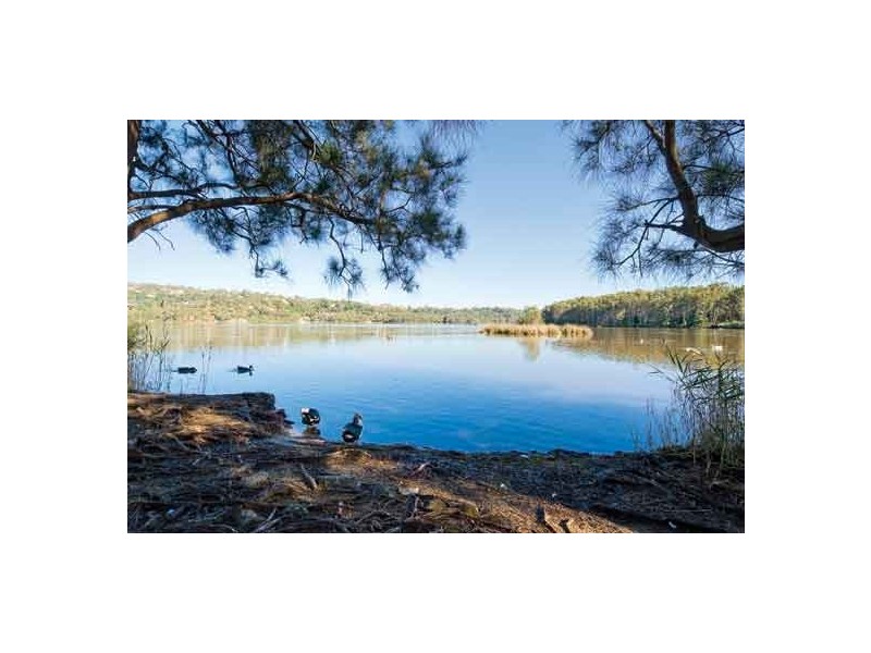 64b Taiyul Road, North Narrabeen NSW 2101