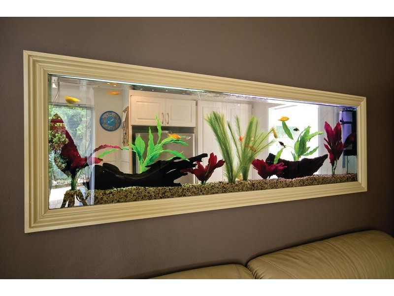 16/69 Lynwood Avenue, Dee Why NSW 2099