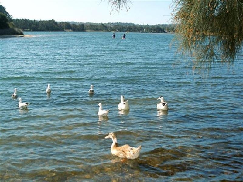 21/7 Narrabeen Street, Narrabeen NSW 2101