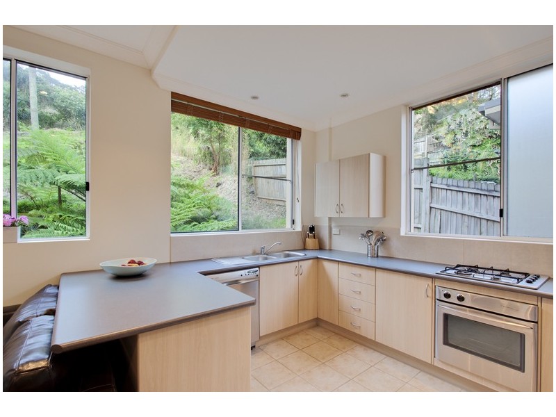 52 Carefree Road, North Narrabeen NSW 2101