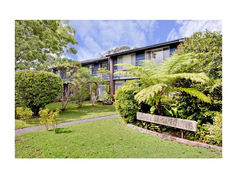 3/69 Lynwood Avenue, Dee Why NSW 2099