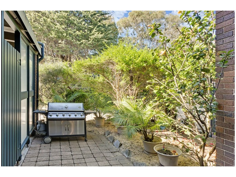 14/69 Lynwood Avenue, Dee Why NSW 2099