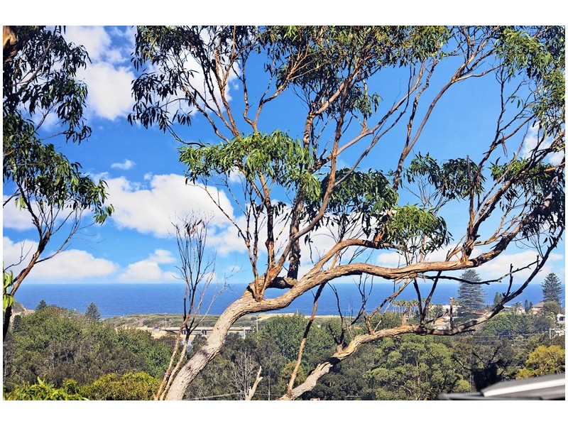 20 Taiyul Road, North Narrabeen NSW 2101