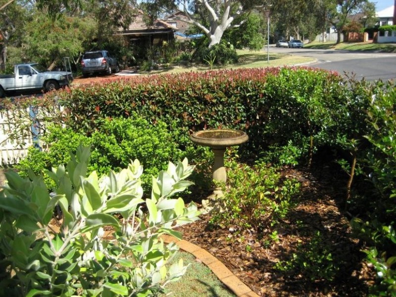 15 Stella Street, Collaroy Plateau NSW 2097