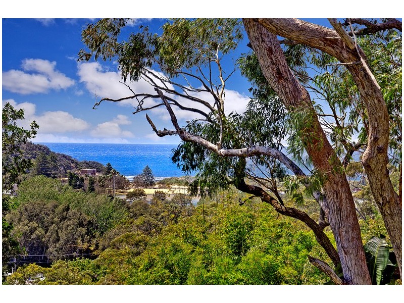 41 Powderworks Road, North Narrabeen NSW 2101