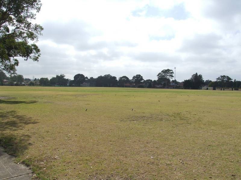 14 Clarence Street, Belfield NSW 2191