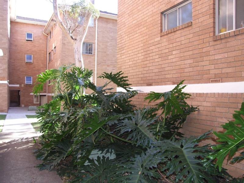 17/64 Sproule Street, Lakemba NSW 2195