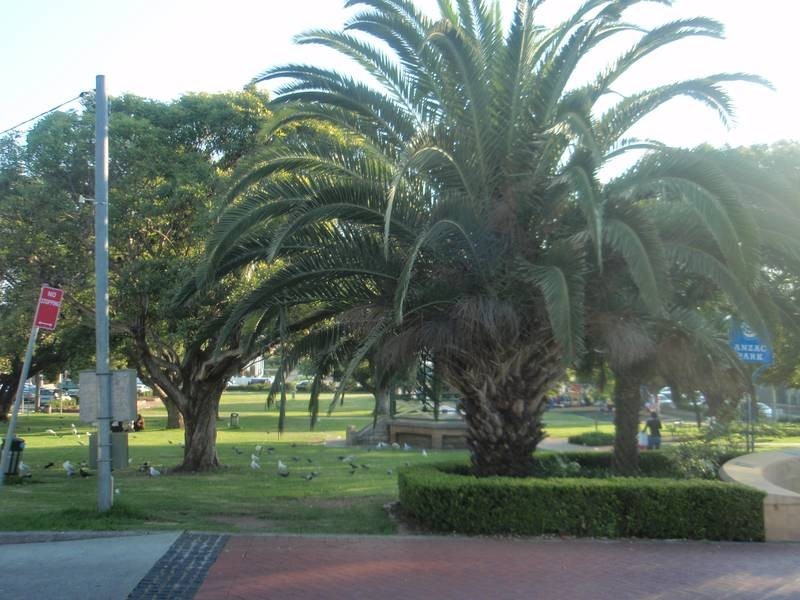 18 Anglo Street, Campsie NSW 2194