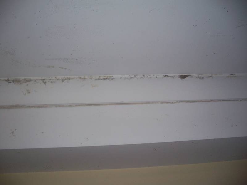 16/90 NINTH AVE, Campsie NSW 2194