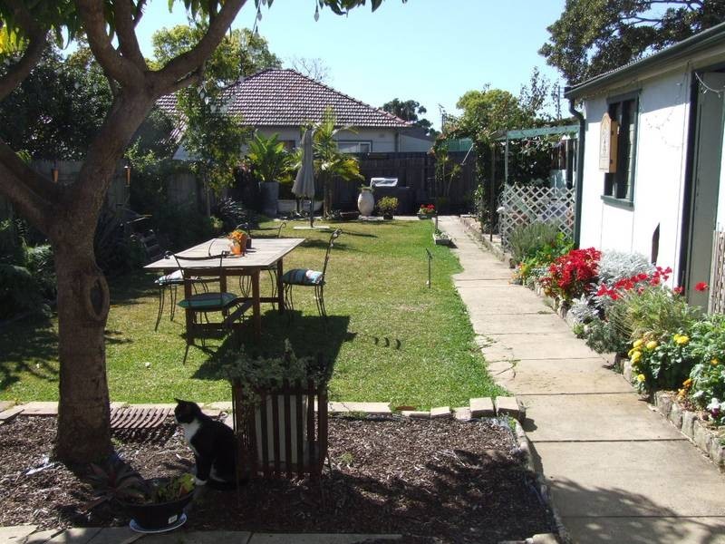 11 Knox Street, Belmore NSW 2192