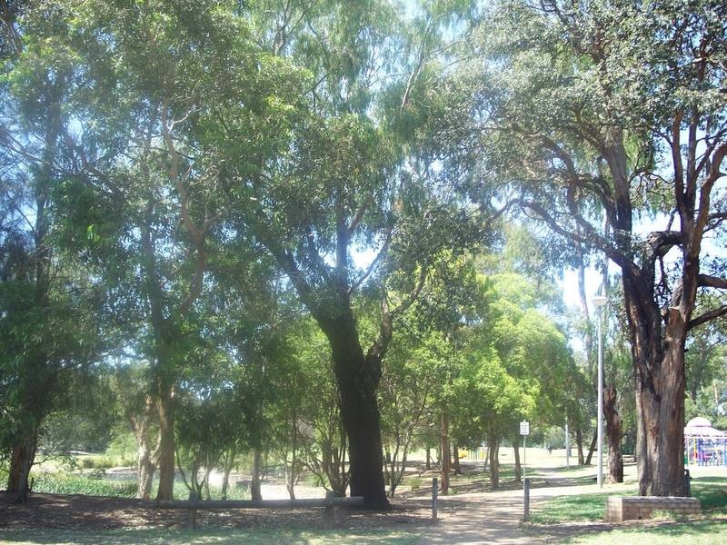 18/75 ALICE STREET, Wiley Park NSW 2195