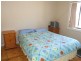 26 Nelson Avenue, Belmore NSW 2192