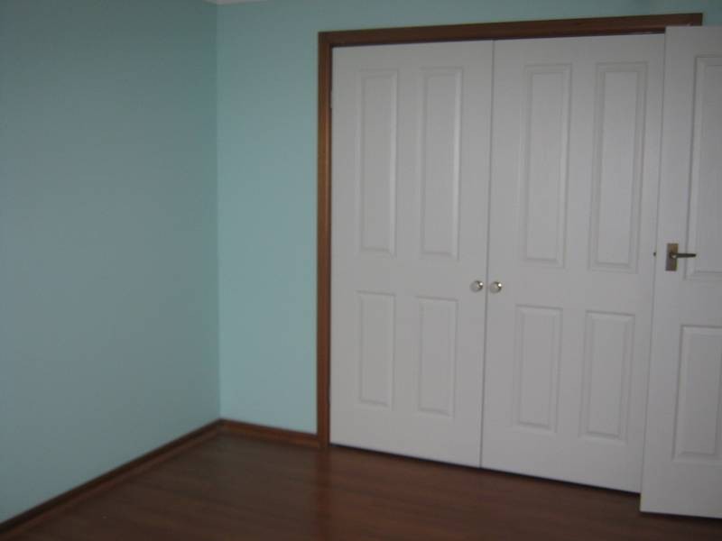 11 SALAMANDER PLACE, Mount Lewis NSW 2190