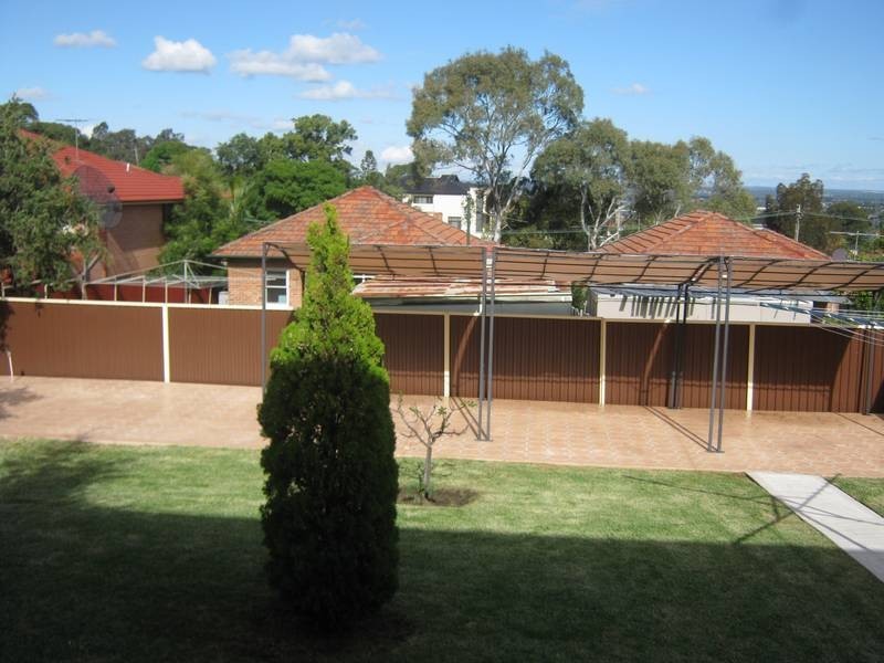 11 SALAMANDER PLACE, Mount Lewis NSW 2190