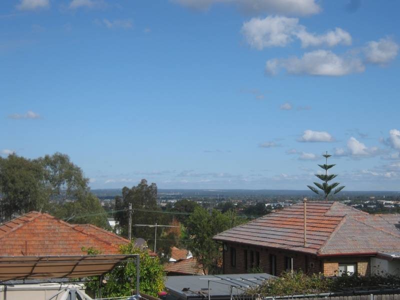 11 SALAMANDER PLACE, Mount Lewis NSW 2190