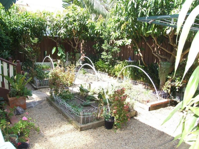 154 Moreton Street, Lakemba NSW 2195