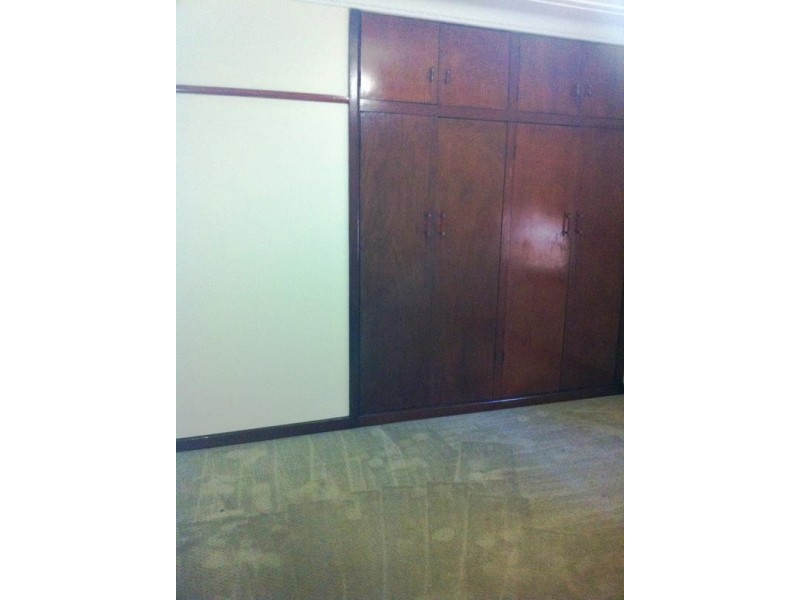 29 Acacia Street, Belmore NSW 2192