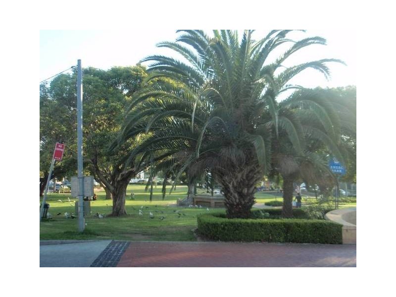 18 Anglo Street, Campsie NSW 2194