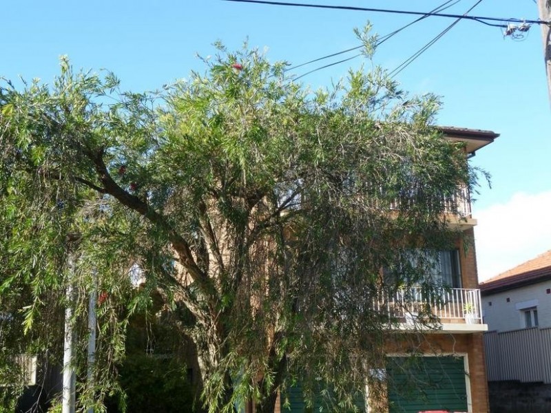 4/108 ERNEST STREET, Lakemba NSW 2195