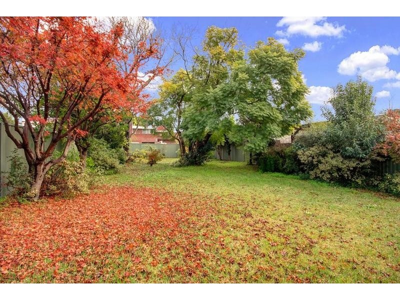 29 Acacia Street, Belmore NSW 2192