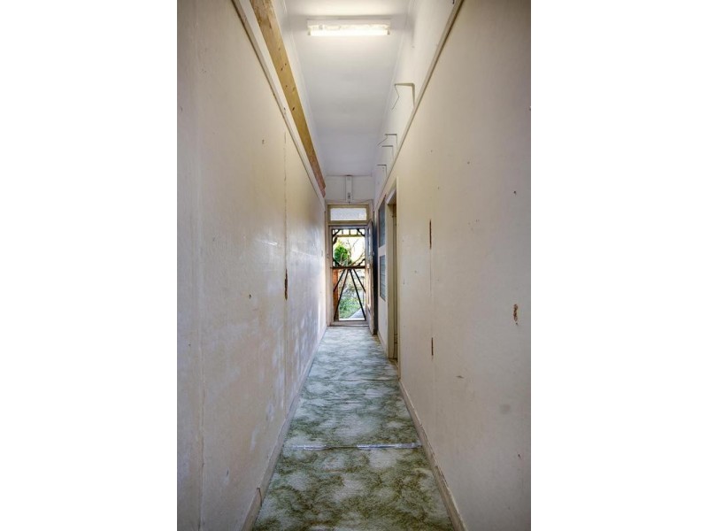 44 Ninth Avenue, Campsie NSW 2194