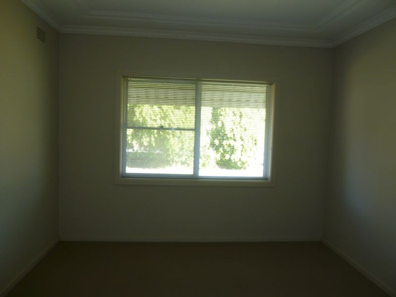 41 TURTON AVENUE, Clemton Park NSW 2206