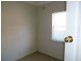 41 TURTON AVENUE, Clemton Park NSW 2206