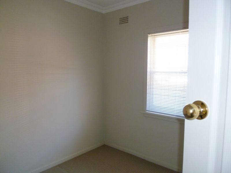 41 TURTON AVENUE, Clemton Park NSW 2206