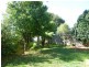 41 TURTON AVENUE, Clemton Park NSW 2206