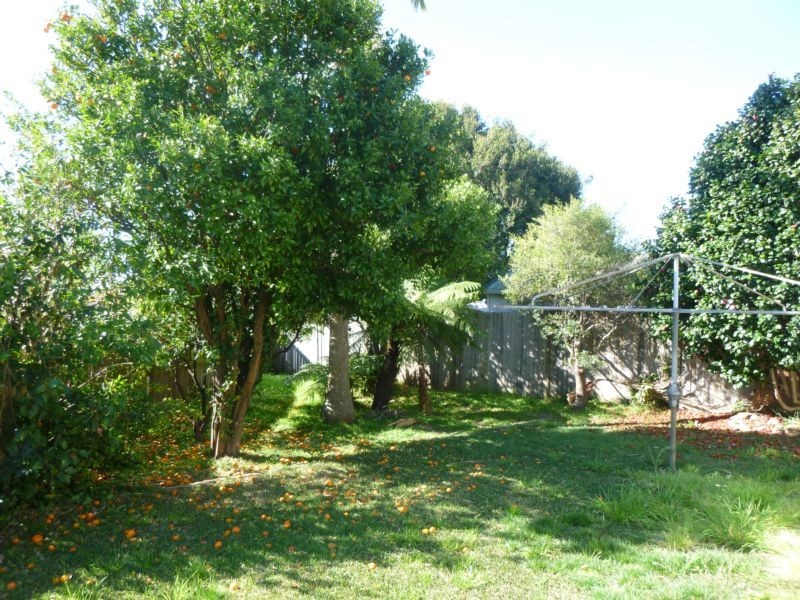 41 TURTON AVENUE, Clemton Park NSW 2206