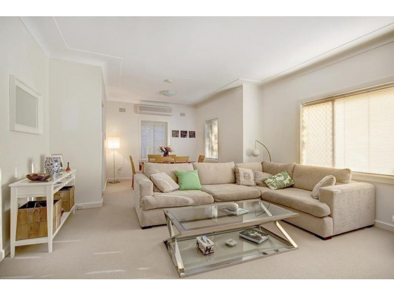 20 Rees Avenue, Belmore NSW 2192