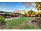 20 Rees Avenue, Belmore NSW 2192