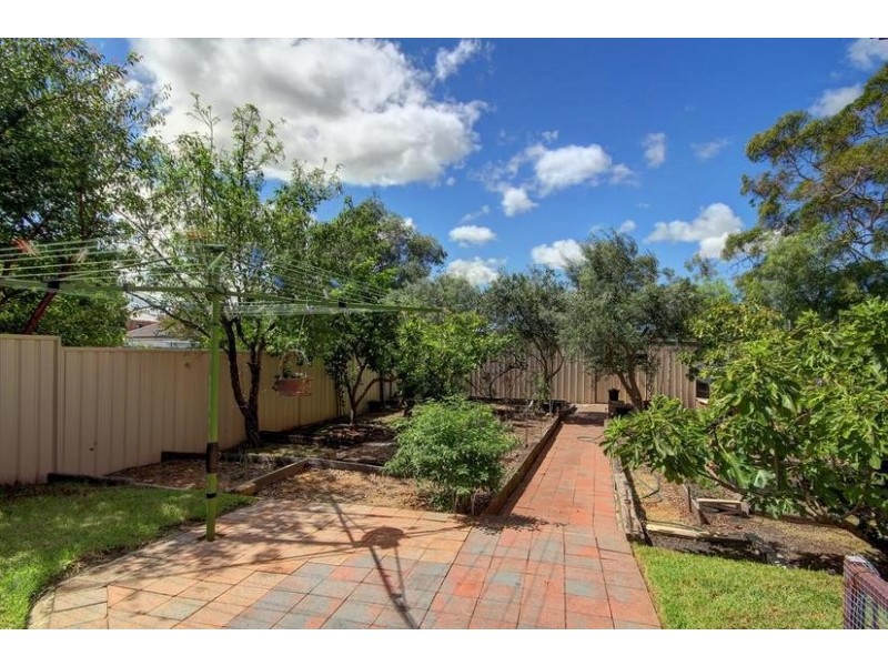 243 Haldon Street, Lakemba NSW 2195