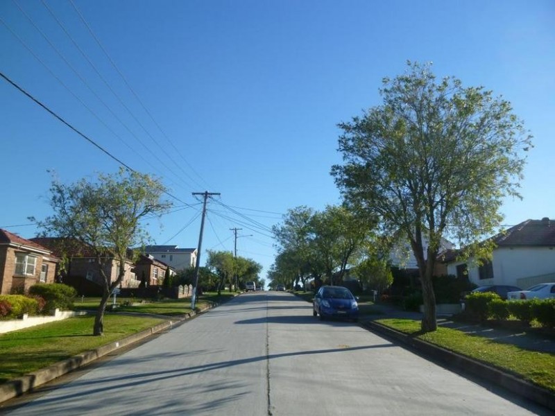 43 ALFRED STREET, Clemton Park NSW 2206