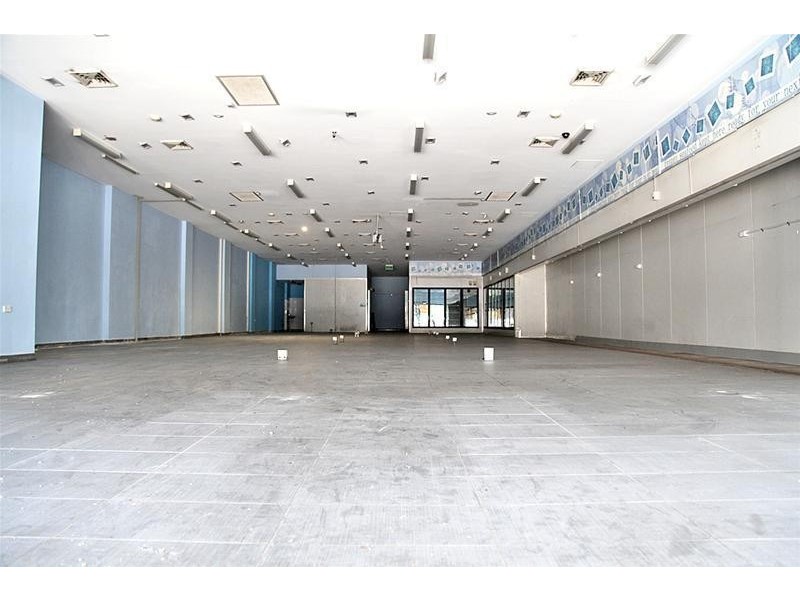 229 Beamish Street, Campsie NSW 2194