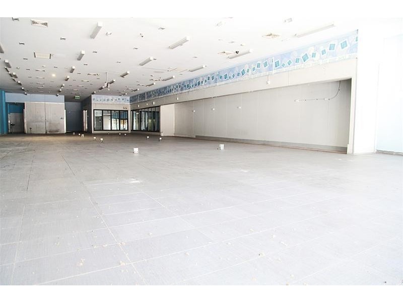 229 Beamish Street, Campsie NSW 2194