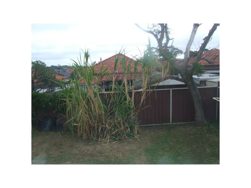 Beverly Hills NSW 2209