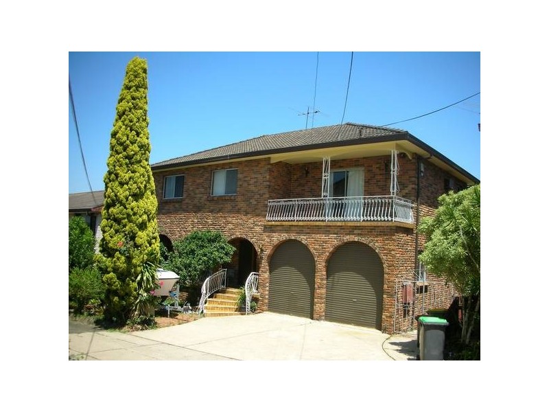 Mount Lewis NSW 2190